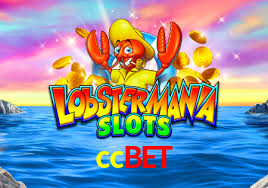 Crash Games Statistics ccbet